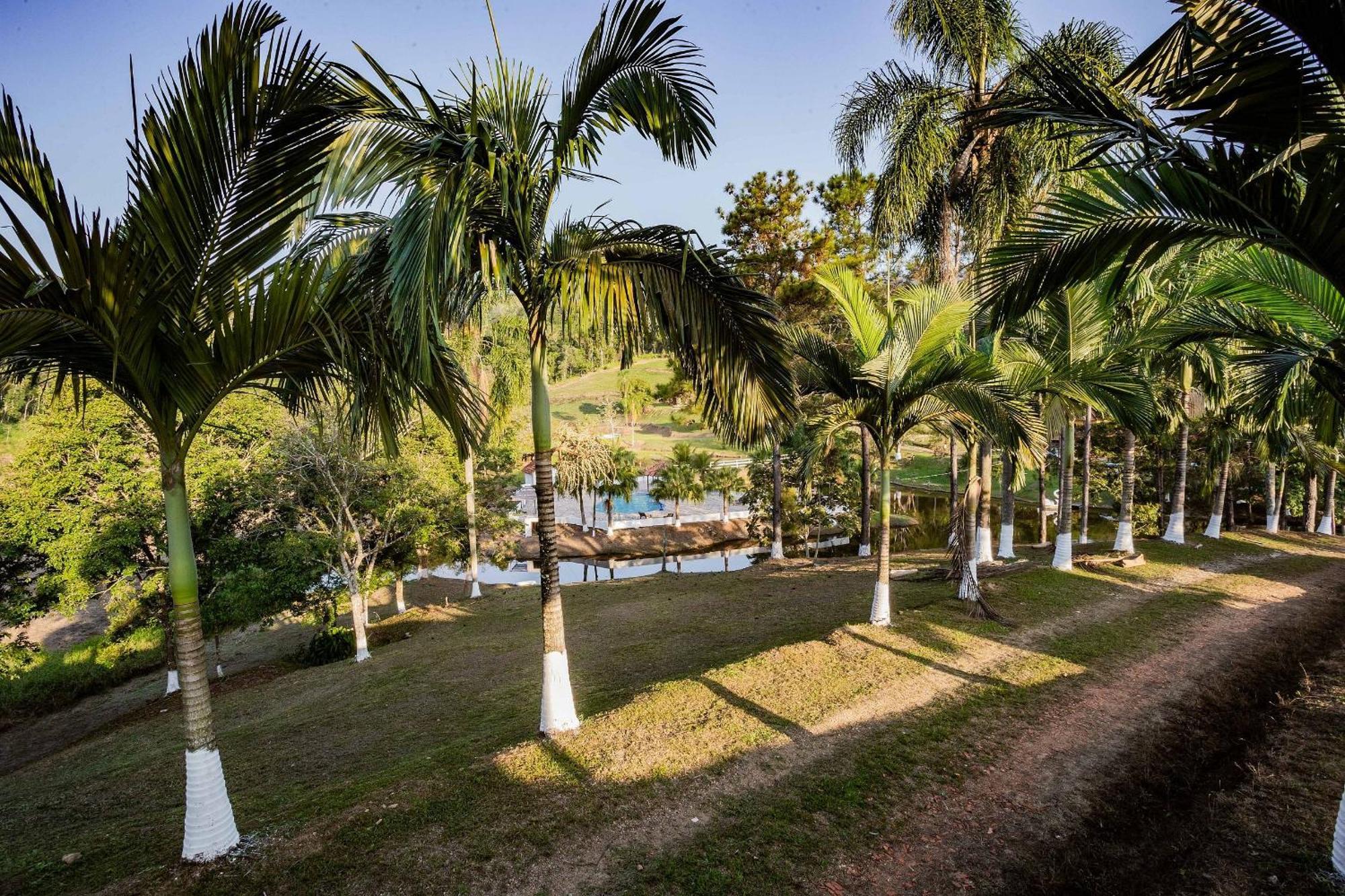 Recanto Das Aguas - Chales No Meio Da Mata Atlantica Eldorado Ngoại thất bức ảnh